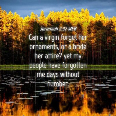 Picture 04 - Jeremiah 2:32 WEB - Can a virgin forget her ornaments, or a bride her - Bible Verse Picture