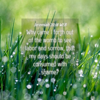 Picture 04 - Jeremiah 20:18 WEB - Why came I forth out of the womb to see labor and - Bible Verse Picture
