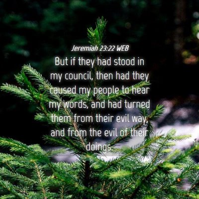 Picture 04 - Jeremiah 23:22 WEB - But if they had stood in my council, then had - Bible Verse Picture