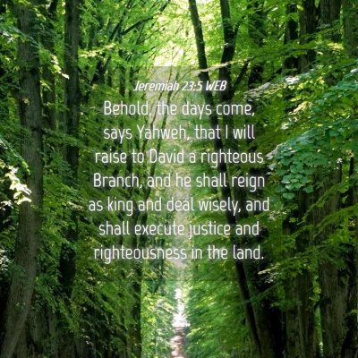 Picture 04 - Jeremiah 23:5 WEB - Behold, the days come, says Yahweh, that I will - Bible Verse Picture
