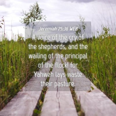 Picture 04 - Jeremiah 25:36 WEB - A voice of the cry of the shepherds, and the - Bible Verse Picture