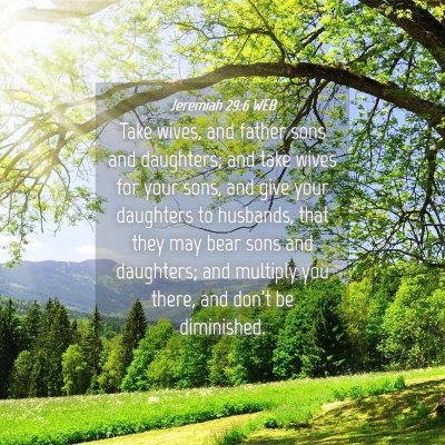 Picture 04 - Jeremiah 29:6 WEB - Take wives, and father sons and daughters; and - Bible Verse Picture