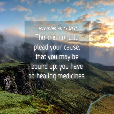 Picture 04 - Jeremiah 30:13 WEB - There is none to plead your cause, that you may - Bible Verse Picture