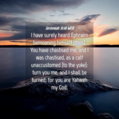 Picture 04 - Jeremiah 31:18 WEB - I have surely heard Ephraim bemoaning himself - Bible Verse Picture