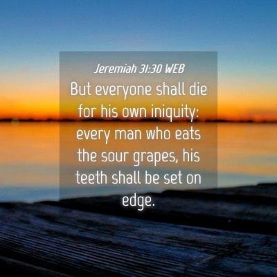 Picture 04 - Jeremiah 31:30 WEB - But everyone shall die for his own iniquity: - Bible Verse Picture