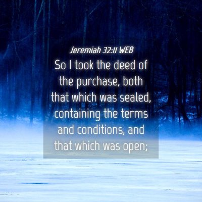 Picture 04 - Jeremiah 32:11 WEB - So I took the deed of the purchase, both that - Bible Verse Picture