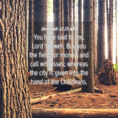 Picture 04 - Jeremiah 32:25 WEB - You have said to me, Lord Yahweh, Buy you the - Bible Verse Picture