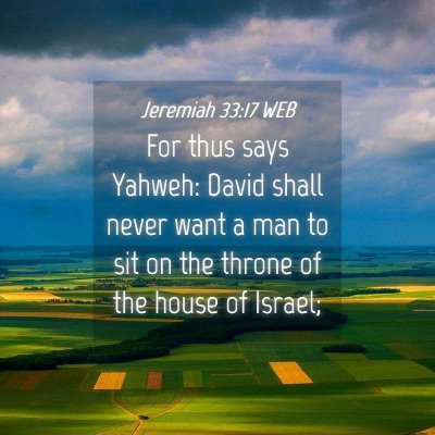 Picture 04 - Jeremiah 33:17 WEB - For thus says Yahweh: David shall never want a - Bible Verse Picture