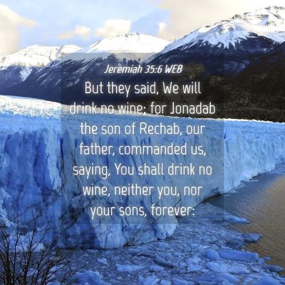 Picture 04 - Jeremiah 35:6 WEB - But they said, We will drink no wine; for Jonadab - Bible Verse Picture