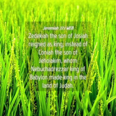 Picture 04 - Jeremiah 37:1 WEB - Zedekiah the son of Josiah reigned as king, - Bible Verse Picture