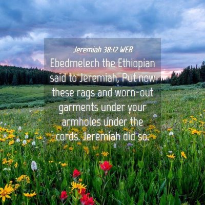 Picture 04 - Jeremiah 38:12 WEB - Ebedmelech the Ethiopian said to Jeremiah, Put - Bible Verse Picture