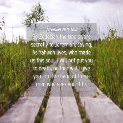 Picture 04 - Jeremiah 38:16 WEB - So Zedekiah the king swore secretly to Jeremiah, - Bible Verse Picture