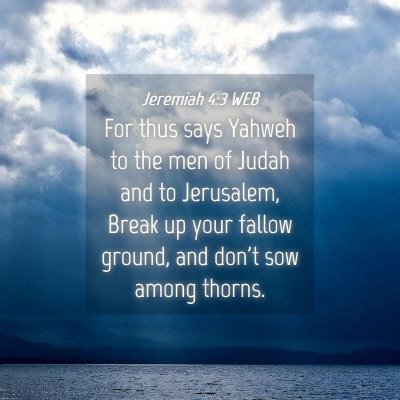 Picture 04 - Jeremiah 4:3 WEB - For thus says Yahweh to the men of Judah and to - Bible Verse Picture
