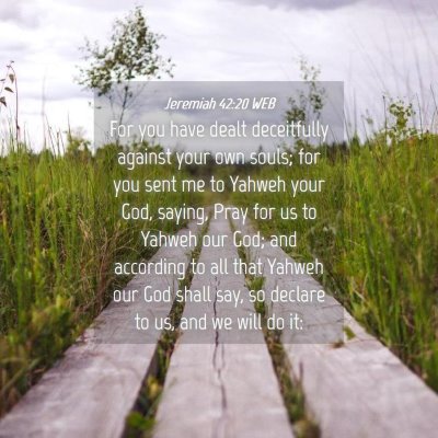 Picture 04 - Jeremiah 42:20 WEB - For you have dealt deceitfully against your own - Bible Verse Picture