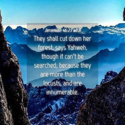 Picture 04 - Jeremiah 46:23 WEB - They shall cut down her forest, says Yahweh, - Bible Verse Picture