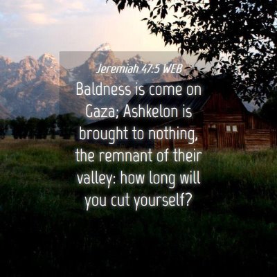 Picture 04 - Jeremiah 47:5 WEB - Baldness is come on Gaza; Ashkelon is brought to - Bible Verse Picture