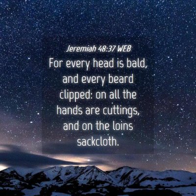 Picture 04 - Jeremiah 48:37 WEB - For every head is bald, and every beard clipped: - Bible Verse Picture