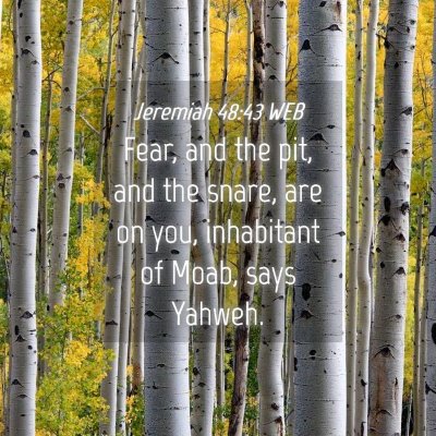 Picture 04 - Jeremiah 48:43 WEB - Fear, and the pit, and the snare, are on you, - Bible Verse Picture
