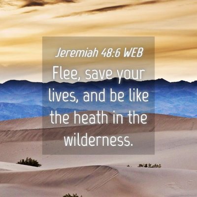Picture 04 - Jeremiah 48:6 WEB - Flee, save your lives, and be like the heath in - Bible Verse Picture