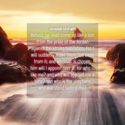 Picture 04 - Jeremiah 49:19 WEB - Behold, he shall come up like a lion from the - Bible Verse Picture