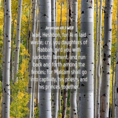 Picture 04 - Jeremiah 49:3 WEB - Wail, Heshbon, for Ai is laid waste; cry, you - Bible Verse Picture