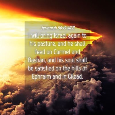 Picture 04 - Jeremiah 50:19 WEB - I will bring Israel again to his pasture, and he - Bible Verse Picture