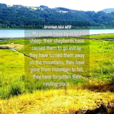 Picture 04 - Jeremiah 50:6 WEB - My people have been lost sheep: their shepherds - Bible Verse Picture