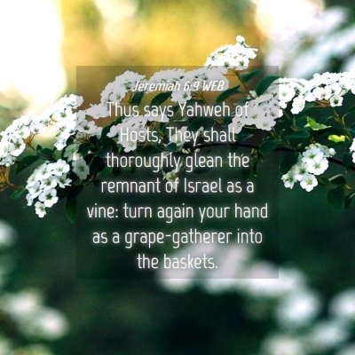 Picture 04 - Jeremiah 6:9 WEB - Thus says Yahweh of Hosts, They shall thoroughly - Bible Verse Picture