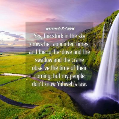 Picture 04 - Jeremiah 8:7 WEB - Yes, the stork in the sky knows her appointed - Bible Verse Picture