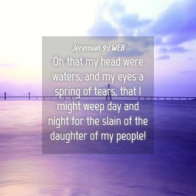 Picture 04 - Jeremiah 9:1 WEB - Oh that my head were waters, and my eyes a spring - Bible Verse Picture