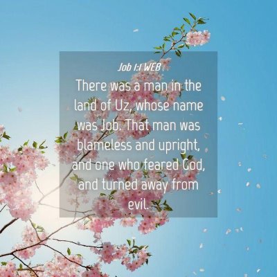 Picture 04 - Job 1:1 WEB - There was a man in the land of Uz, whose name was - Bible Verse Picture