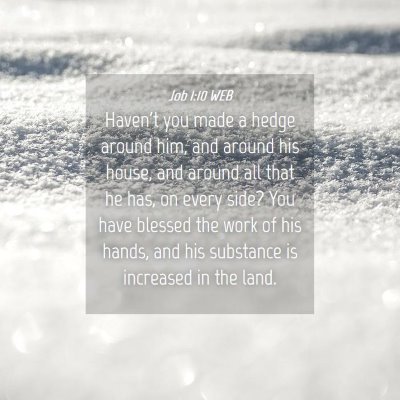 Picture 04 - Job 1:10 WEB - Haven't you made a hedge around him, and around - Bible Verse Picture