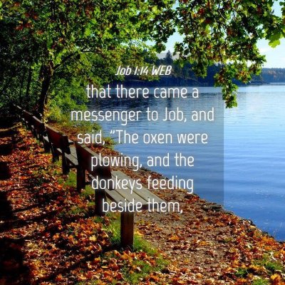 Picture 04 - Job 1:14 WEB - that there came a messenger to Job, and said, - Bible Verse Picture