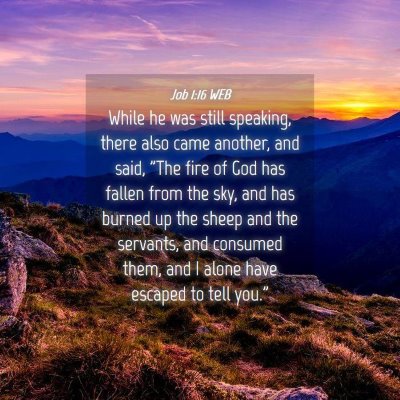 Picture 04 - Job 1:16 WEB - While he was still speaking, there also came - Bible Verse Picture