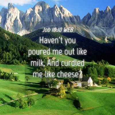 Picture 04 - Job 10:10 WEB - Haven't you poured me out like milk, And curdled - Bible Verse Picture