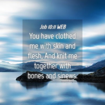 Picture 04 - Job 10:11 WEB - You have clothed me with skin and flesh, And knit - Bible Verse Picture