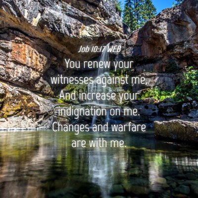 Picture 04 - Job 10:17 WEB - You renew your witnesses against me, And increase - Bible Verse Picture