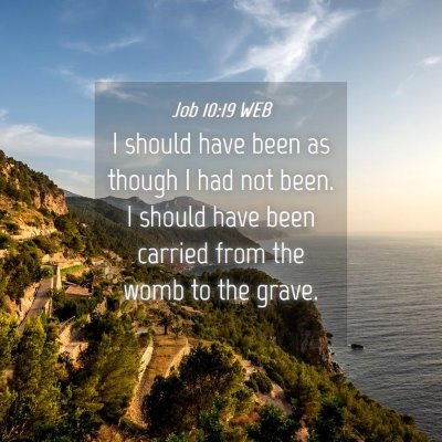 Picture 04 - Job 10:19 WEB - I should have been as though I had not been. I - Bible Verse Picture