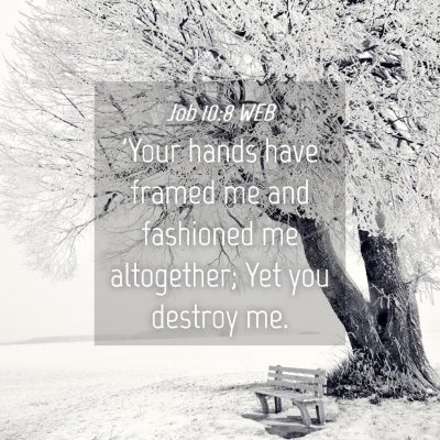 Picture 04 - Job 10:8 WEB - 'Your hands have framed me and fashioned me - Bible Verse Picture