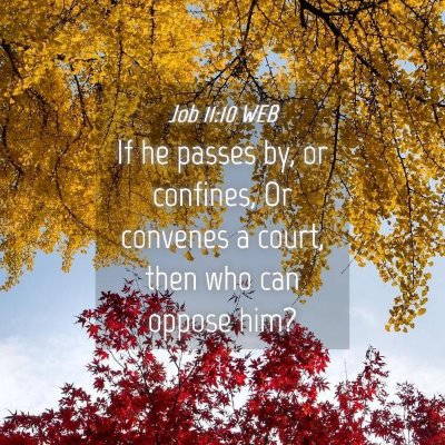 Picture 04 - Job 11:10 WEB - If he passes by, or confines, Or convenes a - Bible Verse Picture