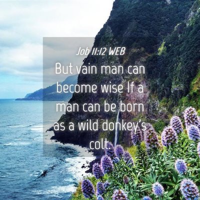 Picture 04 - Job 11:12 WEB - But vain man can become wise If a man can be born - Bible Verse Picture