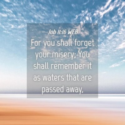 Picture 04 - Job 11:16 WEB - For you shall forget your misery; You shall - Bible Verse Picture