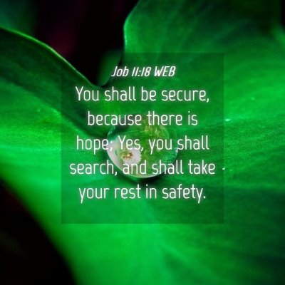 Picture 04 - Job 11:18 WEB - You shall be secure, because there is hope; Yes, - Bible Verse Picture