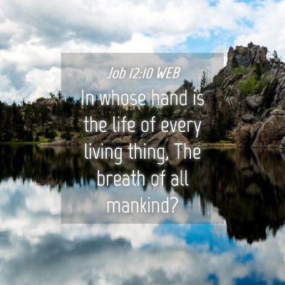 Picture 04 - Job 12:10 WEB - In whose hand is the life of every living thing, - Bible Verse Picture