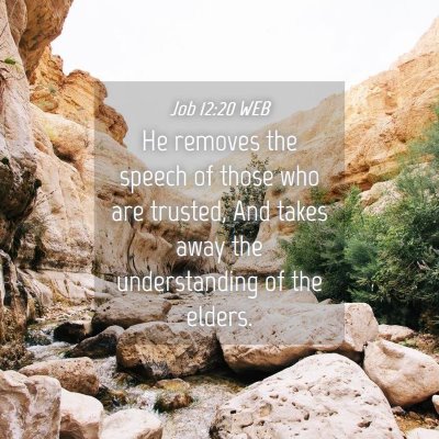 Picture 04 - Job 12:20 WEB - He removes the speech of those who are trusted, - Bible Verse Picture
