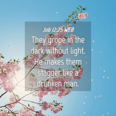 Picture 04 - Job 12:25 WEB - They grope in the dark without light. He makes - Bible Verse Picture