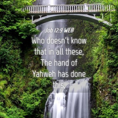 Picture 04 - Job 12:9 WEB - Who doesn't know that in all these, The hand of - Bible Verse Picture