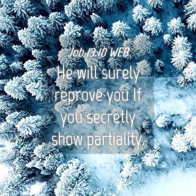 Picture 04 - Job 13:10 WEB - He will surely reprove you If you secretly show - Bible Verse Picture