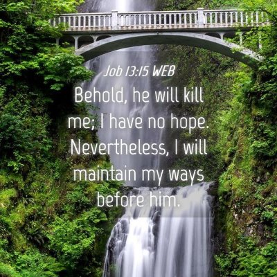 Picture 04 - Job 13:15 WEB - Behold, he will kill me; I have no hope. - Bible Verse Picture
