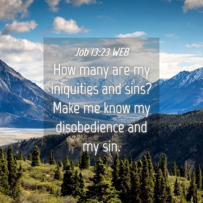 Picture 04 - Job 13:23 WEB - How many are my iniquities and sins? Make me know - Bible Verse Picture